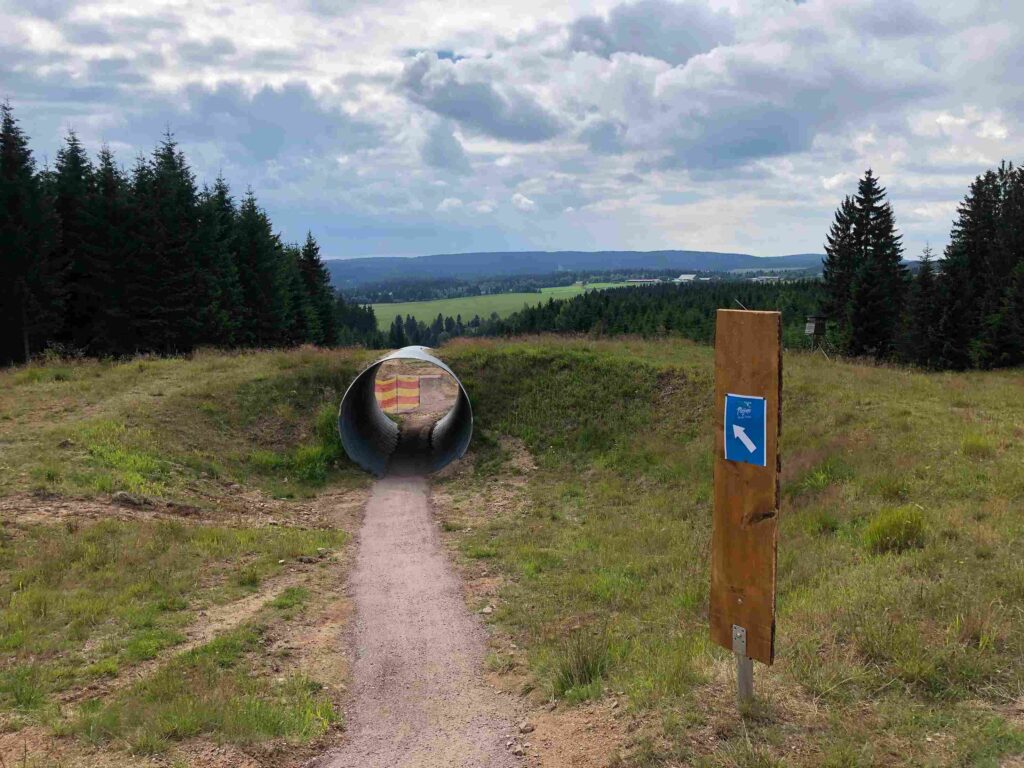 Lesní stezka